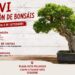 La XXXVI Exposición del Club Bonsái de Segorbe volverá a reunir a los amantes de este arte del 30 de agosto al 6 de septiembre