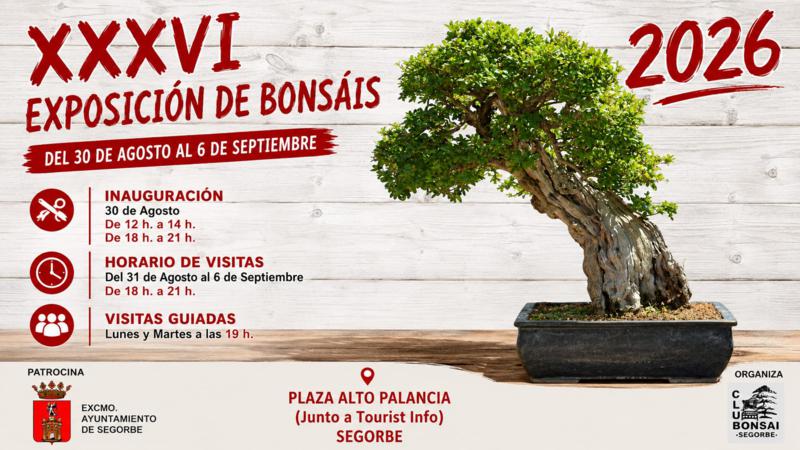 La XXXVI Exposición del Club Bonsái de Segorbe volverá a reunir a los amantes de este arte del 30 de agosto al 6 de septiembre