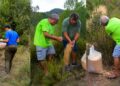 La Diana Segorbina comienza a recuperar el hábitat de la fauna tras el incendio