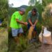 La Diana Segorbina comienza a recuperar el hábitat de la fauna tras el incendio