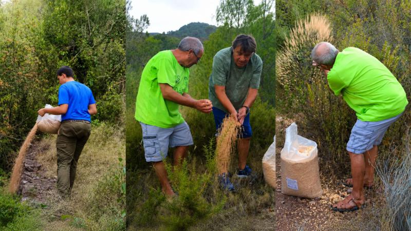 La Diana Segorbina comienza a recuperar el hábitat de la fauna tras el incendio