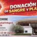 Segorbe anima a la ciudadanía a participar en una nueva jornada de donación de sangre el 12 de agosto