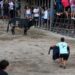 Las vacas de Marcén y el toro de Mucho Arte dejan buenos momentos en la tarde del lunes