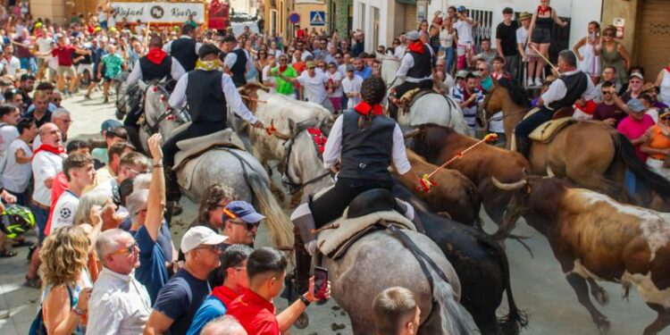 Espectacular segunda Entrada de Toros y Caballos en Segorbe