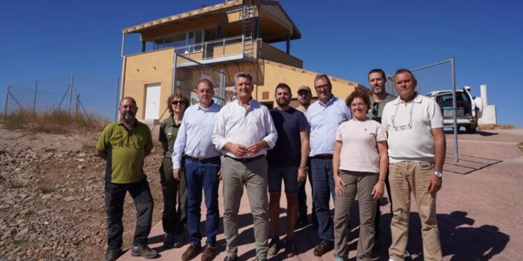 La Generalitat destina 685.000 euros en la fase inicial de recuperación del entorno calcinado por el incendio de Segorbe