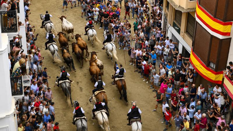 Segorbe inicia la Semana Taurina con toros, ferias y tradición