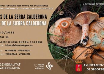 Segorbe acogerá un audiovisual sobre el papel de los hongos en los ecosistemas