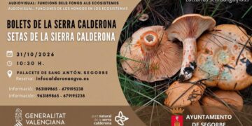 Segorbe acogerá un audiovisual sobre el papel de los hongos en los ecosistemas