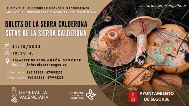 Segorbe acogerá un audiovisual sobre el papel de los hongos en los ecosistemas