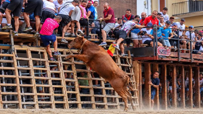 Morena cierra el primer día del Concurso de Ganaderías con una actuación que levanta a toda la plaza