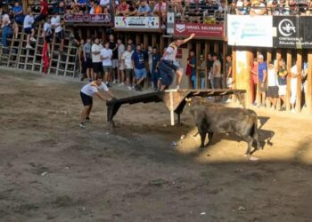 Fernando Machancoses se lleva los tres premios del XLI Concurso de Ganaderías Ciudad de Segorbe