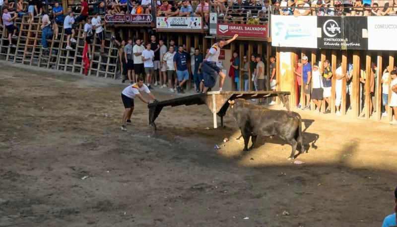 Fernando Machancoses se lleva los tres premios del XLI Concurso de Ganaderías Ciudad de Segorbe