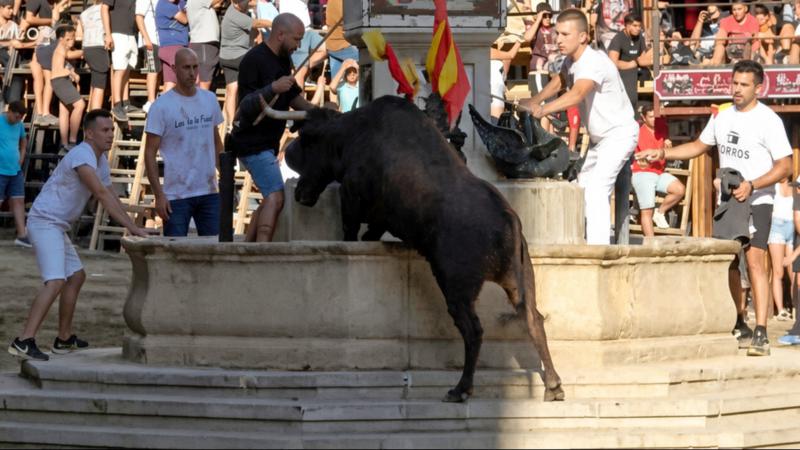La Paloma mantiene el nivel en Segorbe, pero el parón condiciona una tarde que acabó con Jaulera y Urraca como protagonistas