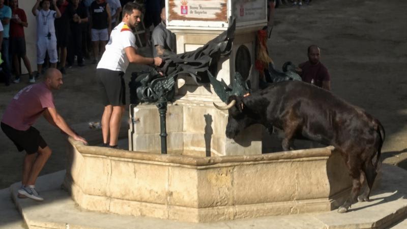 Dani Machancoses cierra su tarde en Segorbe con una actuación regular y 140 puntos en el concurso de ganaderías