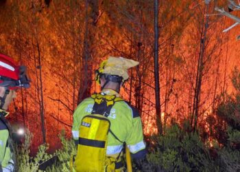 Segorbe afrontará actuaciones de emergencia para recuperar las zonas forestales afectadas por el incendio de agosto