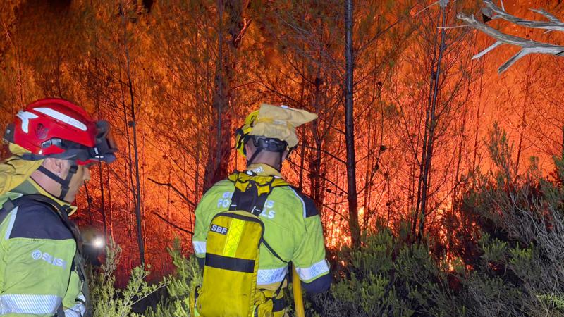 Segorbe afrontará actuaciones de emergencia para recuperar las zonas forestales afectadas por el incendio de agosto