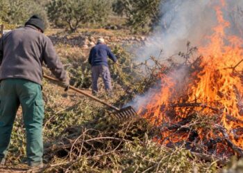 El Ayuntamiento de Segorbe vuelve a dar permisos de quema de restos agrícolas