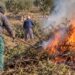El Ayuntamiento de Segorbe vuelve a dar permisos de quema de restos agrícolas