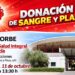 Segorbe celebra el domingo una nueva jornada de donación de sangre