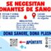 El Colegio Seminario de Segorbe organiza la III Feria de la Salud y una donación de sangre